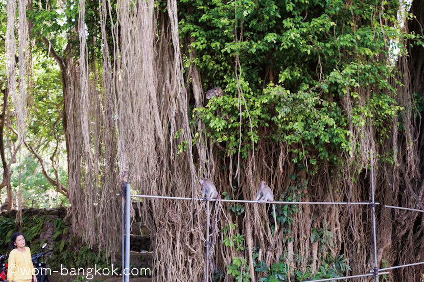 ubud