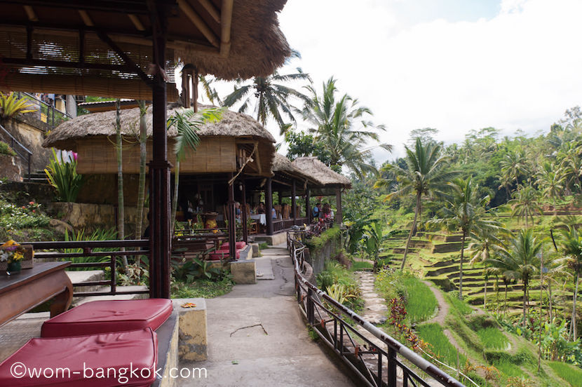 Teras Padi Café Teras Padi Café