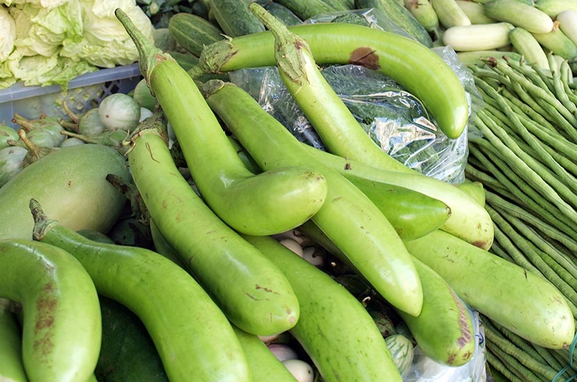 第19回 長ナス バンコクフリーペーパー Wom Bangkok