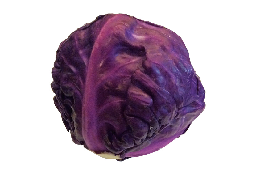 第69回 紫キャベツ - バンコクフリーペーパー WOM Bangkok