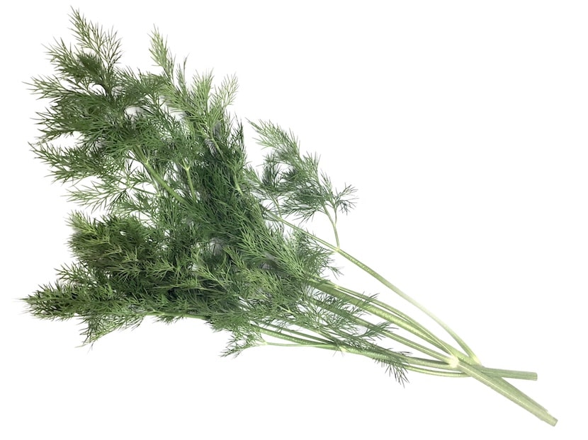 タイ野菜でベジフルライフ 第132回 ディル パクチーラオ Womコラム Wom Bangkok ばn