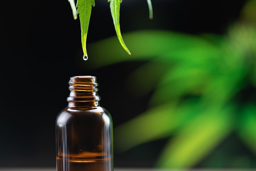 話題のCBD! その効果と使い方 話題のCBD! その効果と使い方