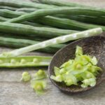 第197回 モリンガ（マルン）